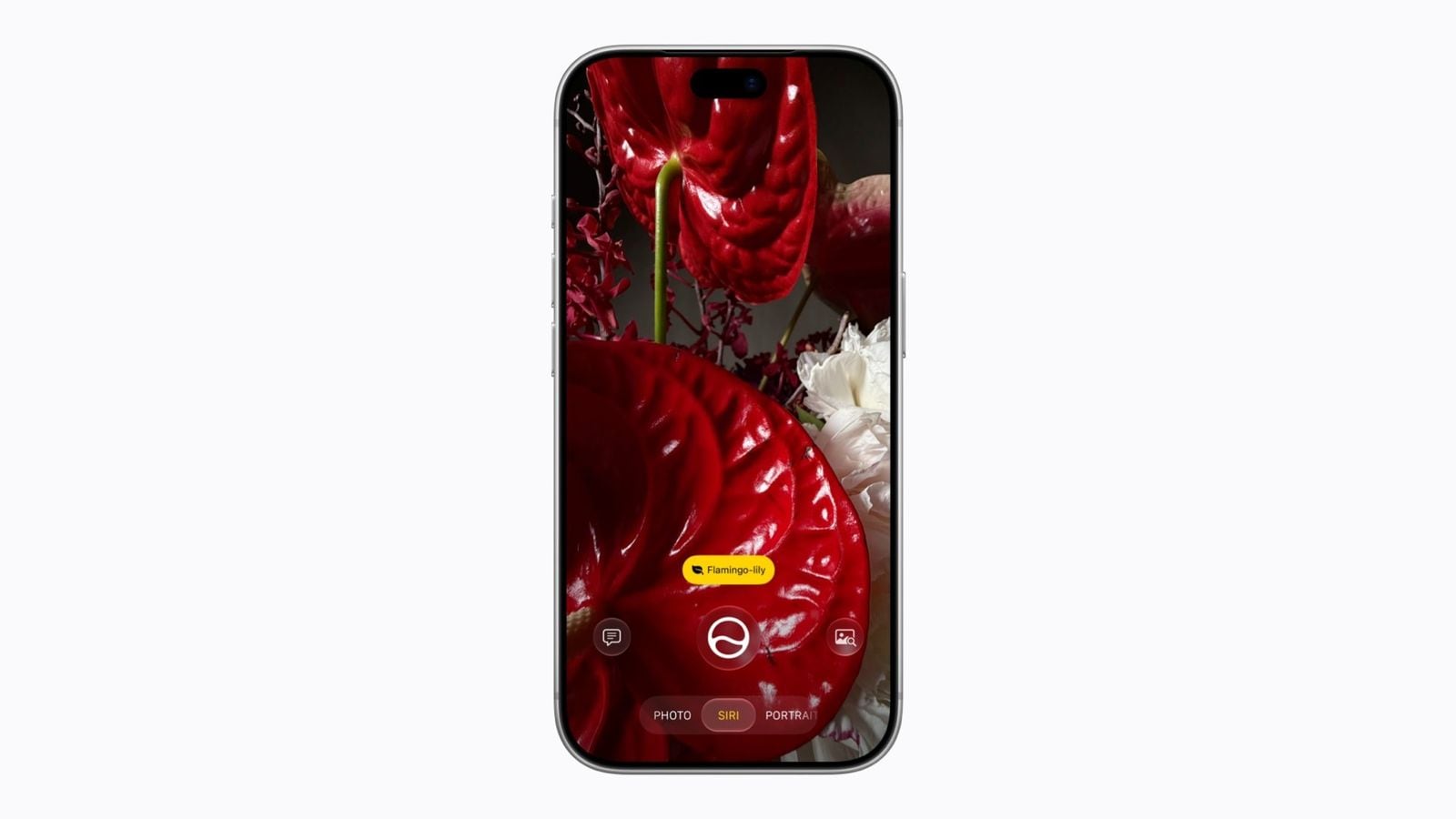 Režim Siri v aplikaci Fotoaparát na iPhonu 18 Pro